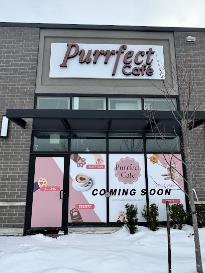 Purrfect Café, Toronto