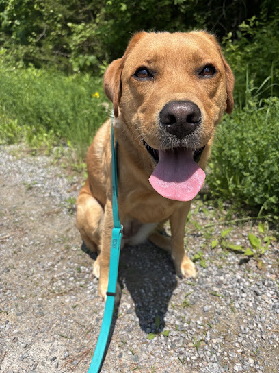 Happy Dogz and Catz Animal Care (Etobicoke and Campbellford), Toronto