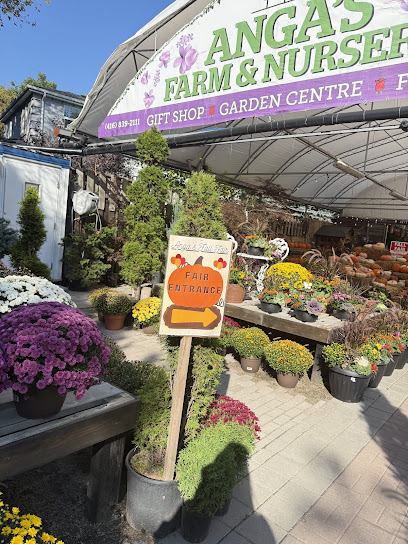 Anga's Farm & Nursery, Toronto