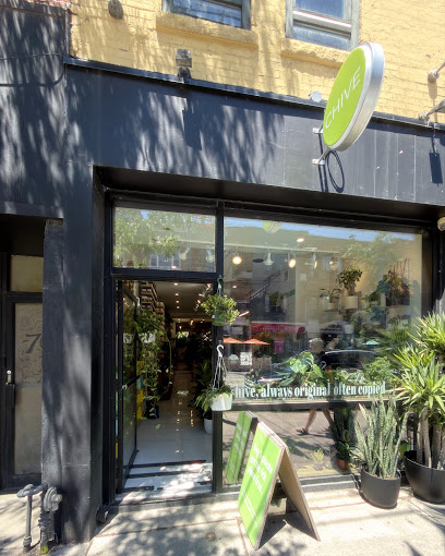 Chive Inc, Toronto