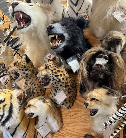 Taxidermy Store, Toronto