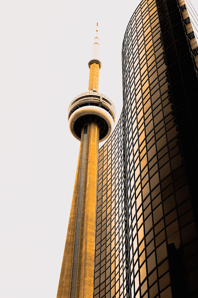 WEB DESIGN TORONTO