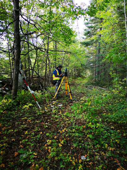 Altimap land surveyors, Toronto