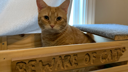 Cat Sitter Toronto Inc
