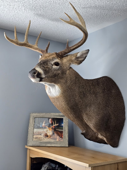 Advanced Taxidermy & Wildlife Design, Toronto